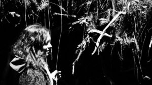 pika-golub-text-rahmen-haunting-thoughts